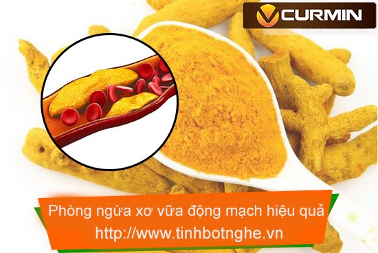 xơ vữa động mạch phòng ngừa với tinh bột nghệ