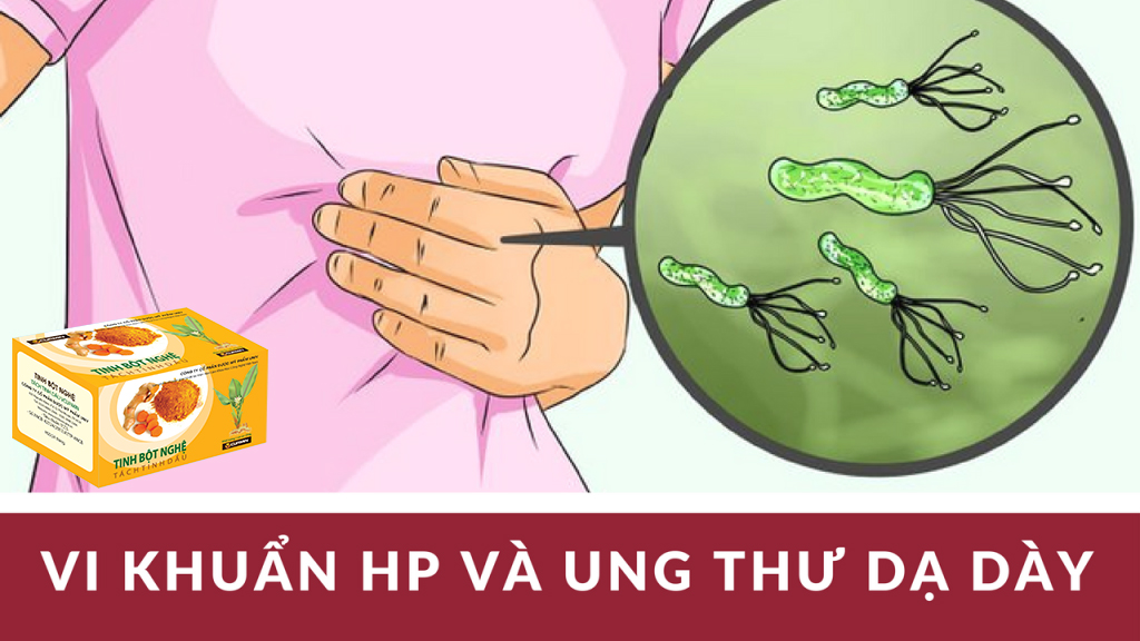 vi khuẩn hp