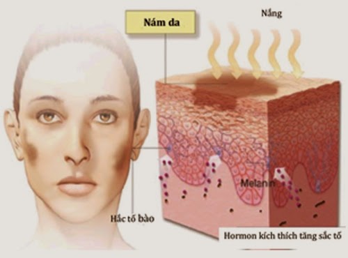 nám da do melanin