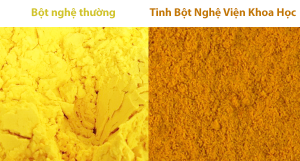 [Image: tinh-bot-nghe-vien-khoa-hoc.png]