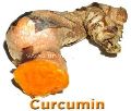 tinh bot nghe curcumin co nong khong